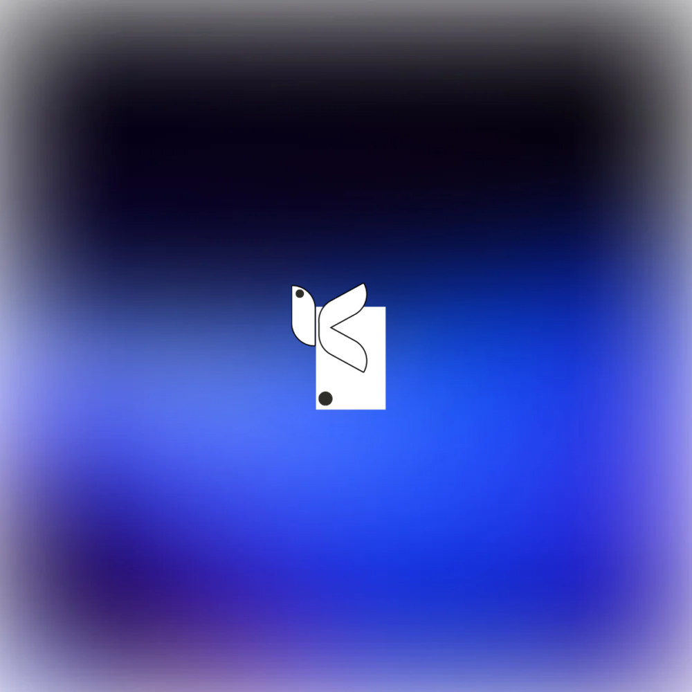5 5